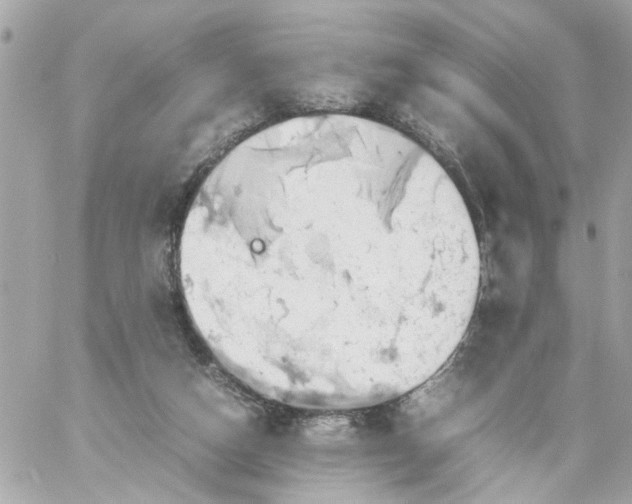 X0000057080162200510071854