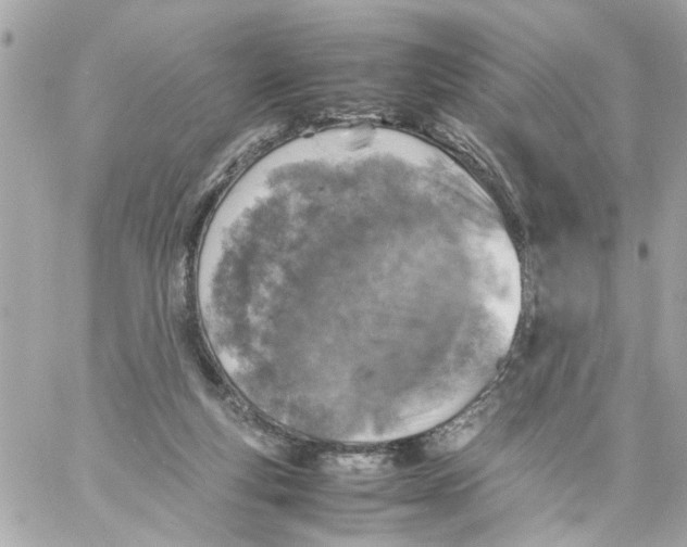 X0000057080163200510071854