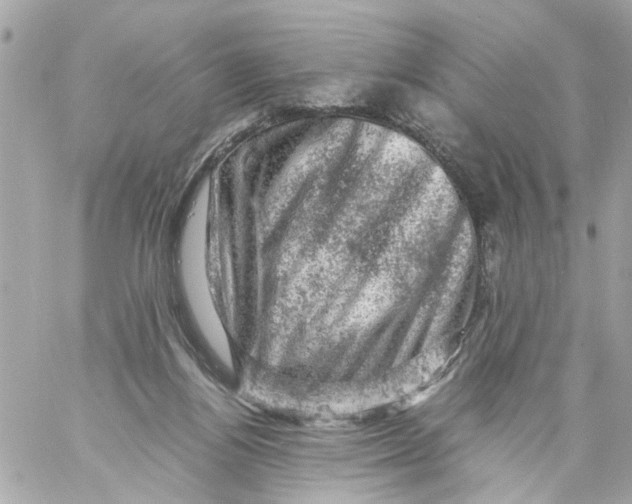 X0000057080164200510071854