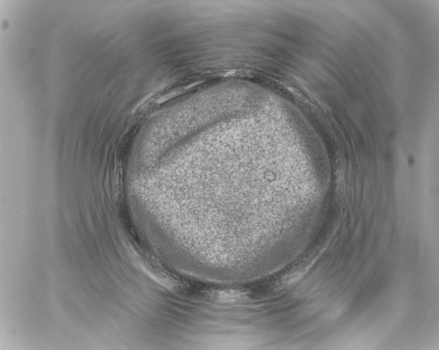 X0000057080165200510071854