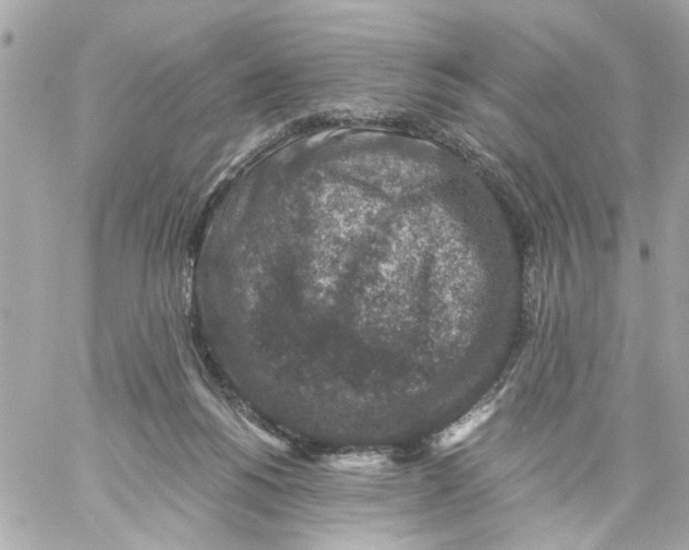 X0000057080168200510071854