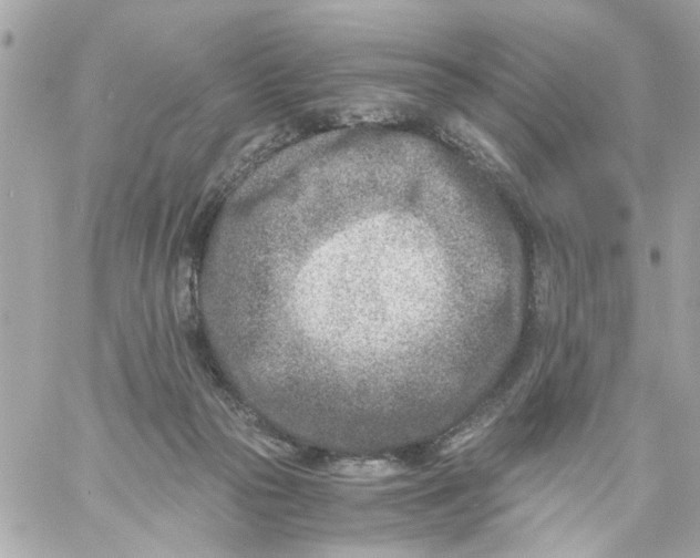 X0000057080169200510071854