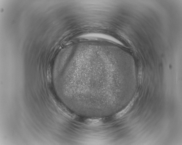 X0000057080170200510071854