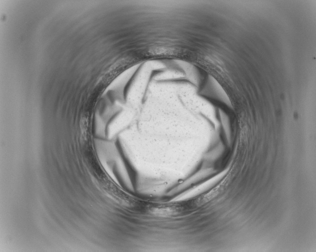 X0000057080171200510071854