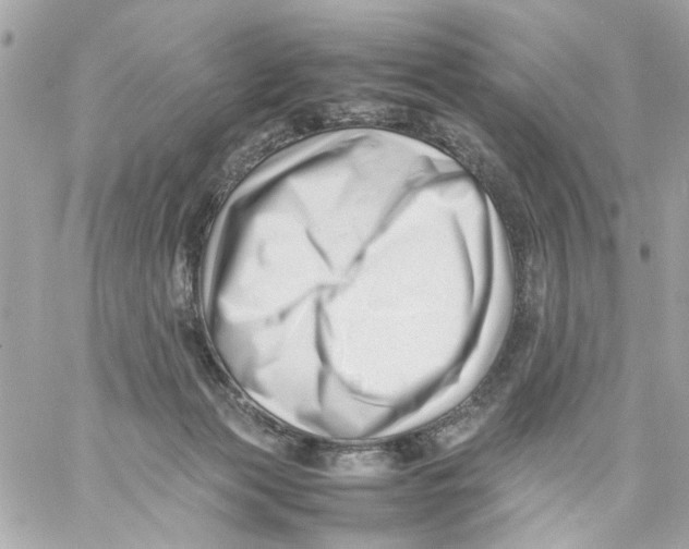 X0000057080173200510071854