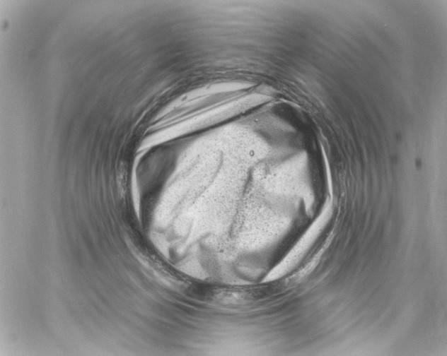 X0000057080174200510071854