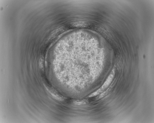 X0000057080175200510071854