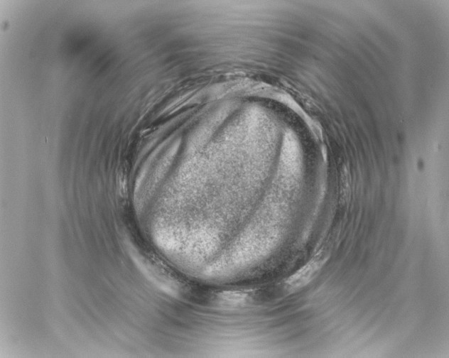 X0000057080176200510071854