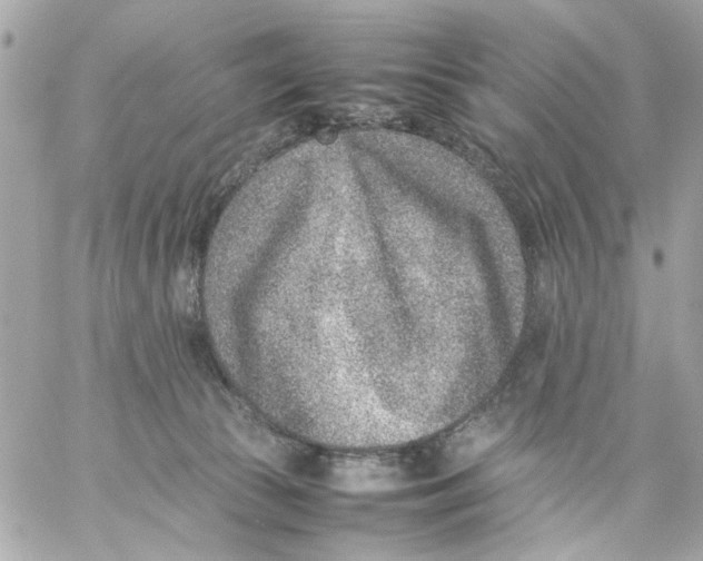 X0000057080177200510071855