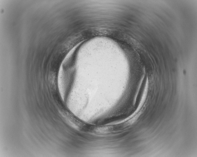 X0000057080178200510071855