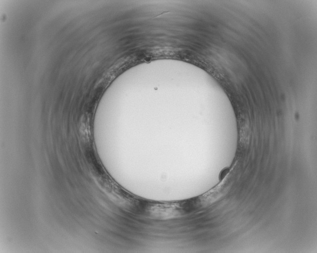 X0000057080179200510071855