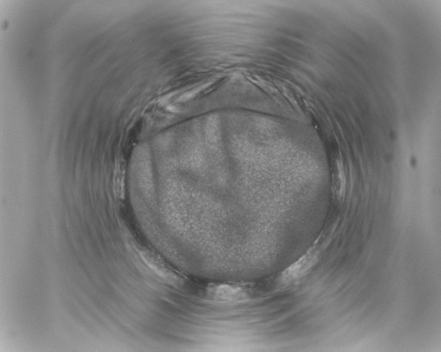 X0000057080180200510071855