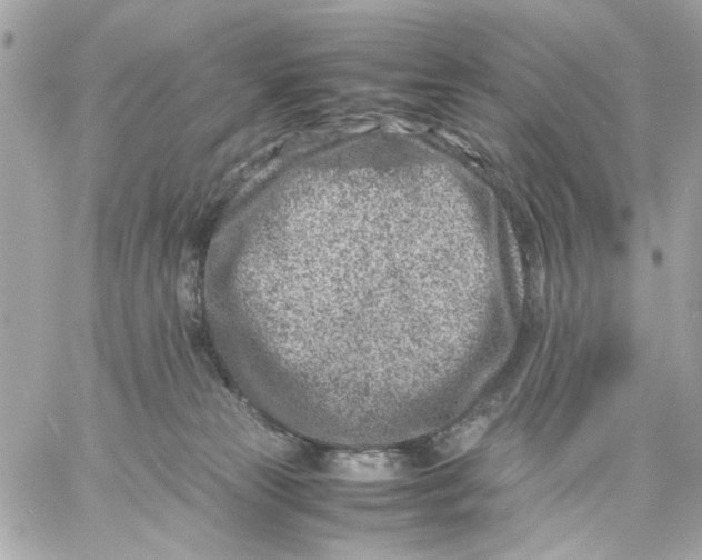 X0000057080181200510071855