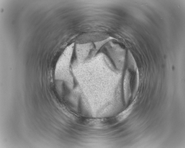 X0000057080182200510071855