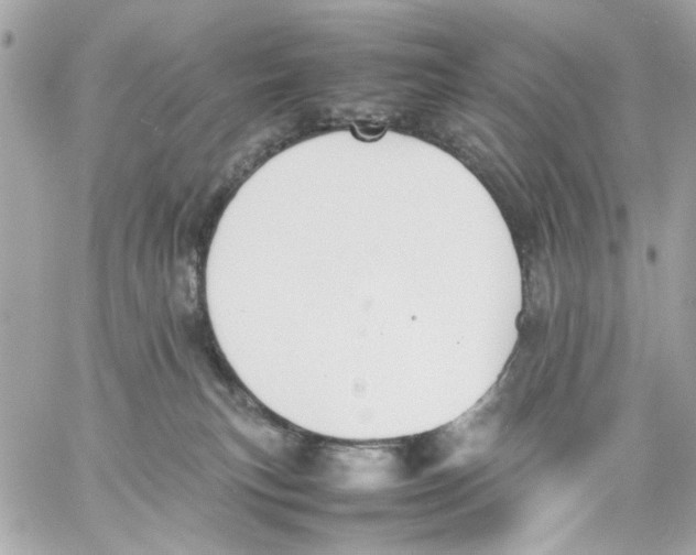 X0000057080183200510071855