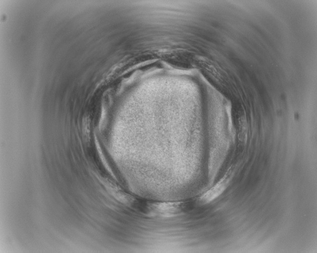 X0000057080184200510071855