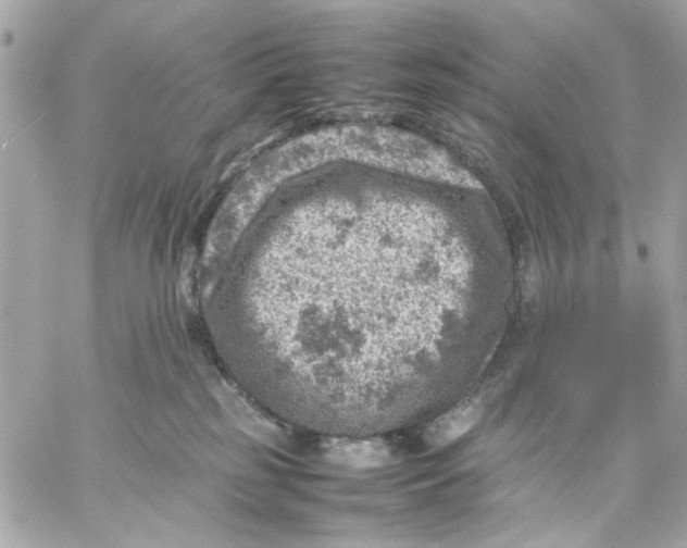 X0000057080185200510071855