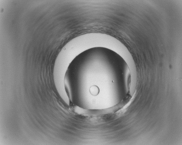 X0000057080186200510071855