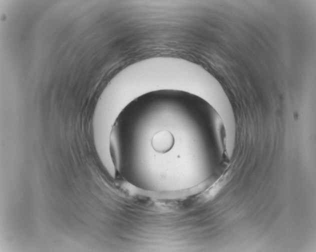 X0000057080188200510071855