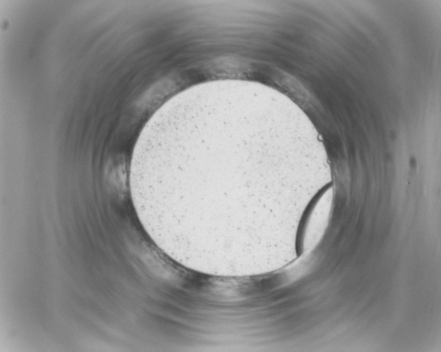 X0000057080190200510071855