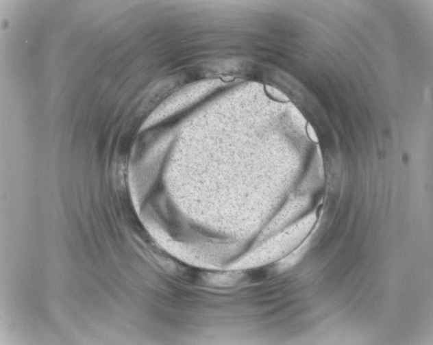 X0000057080191200510071855