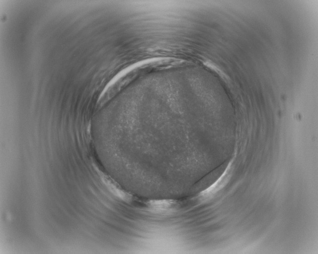 X0000057080192200510071855