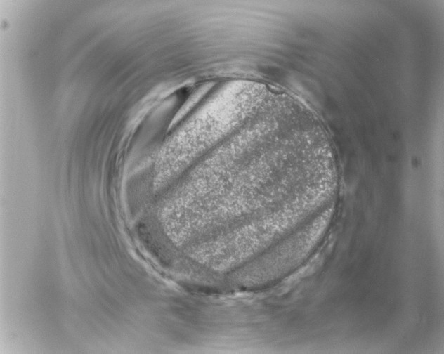 X0000057080193200510071854