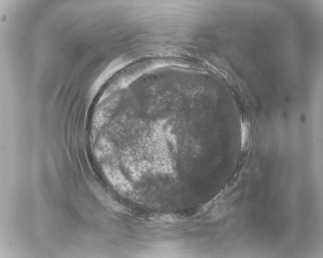 X0000057080195200510071854