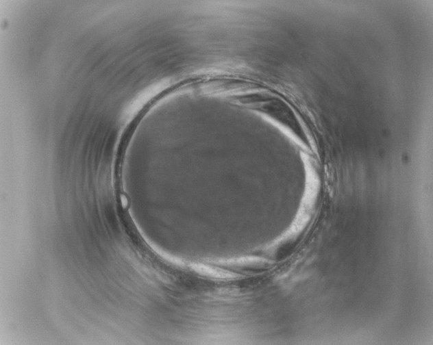 X0000057080196200510071854