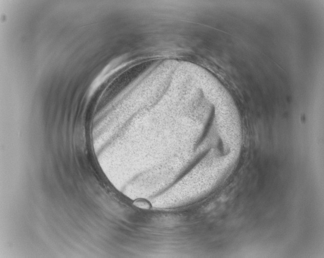 X0000057080198200510071854