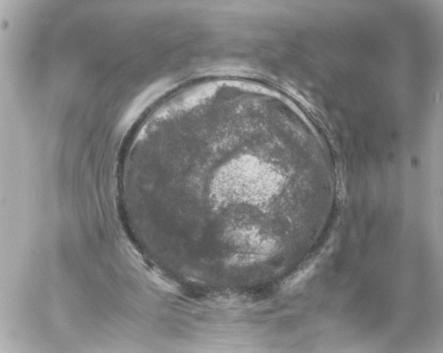 X0000057080199200510071854