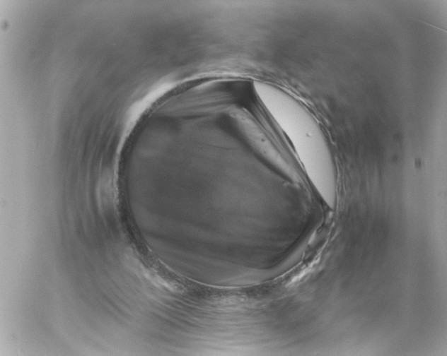 X0000057080200200510071854