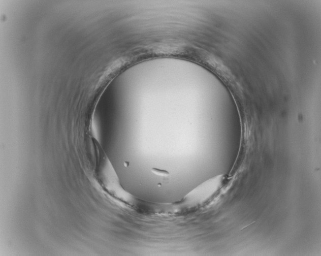 X0000057080201200510071854