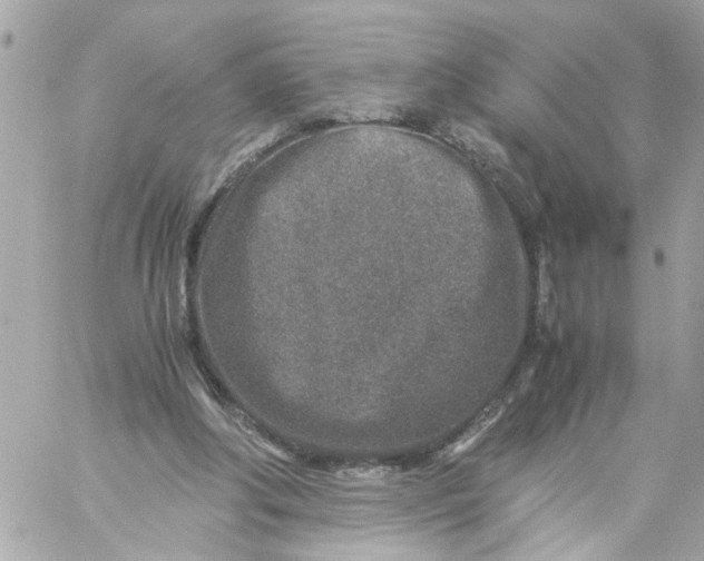 X0000057080202200510071854