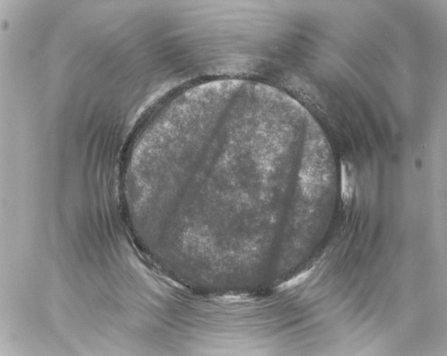 X0000057080204200510071854