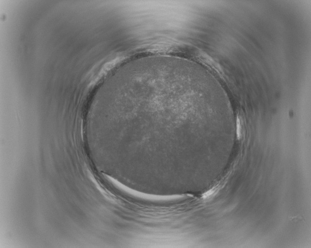 X0000057080205200510071854