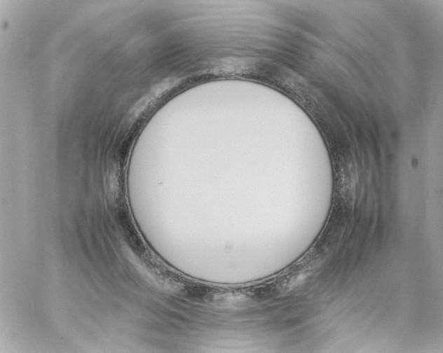 X0000057080208200510071854