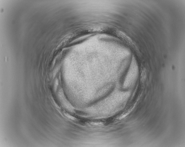 X0000057080209200510071854