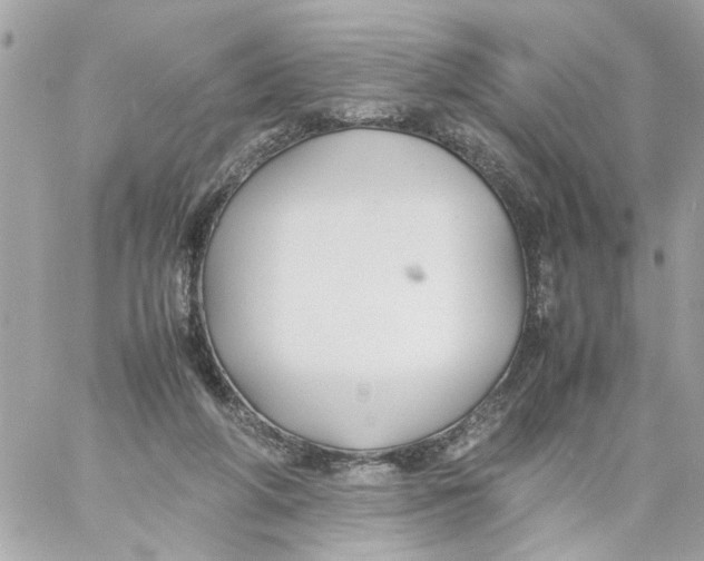 X0000057080210200510071854