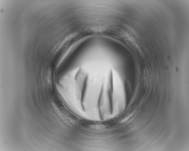 X0000057080212200510071854