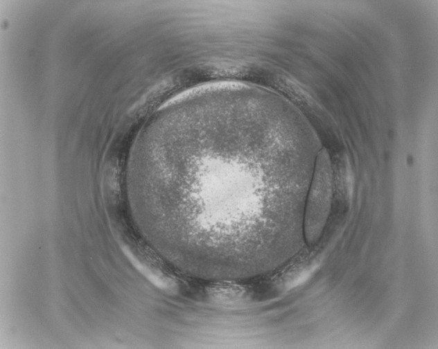 X0000057080215200510071854