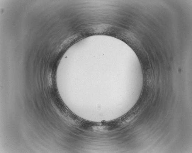 X0000057080216200510071854