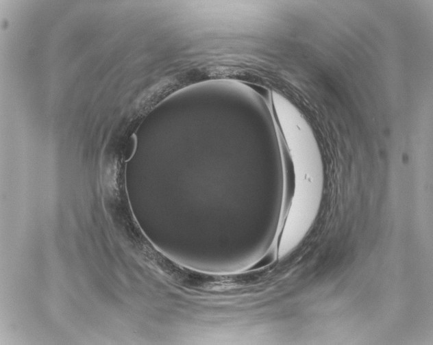 X0000057080219200510071854