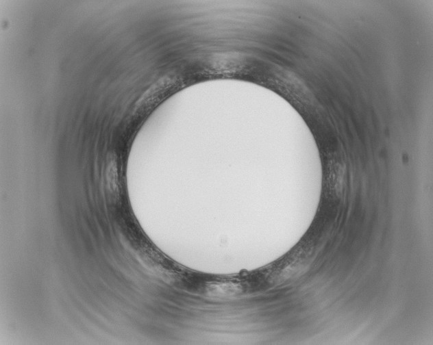 X0000057080220200510071854