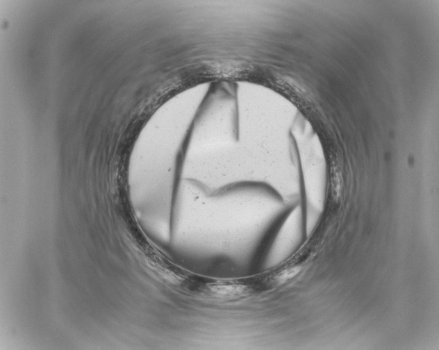 X0000057080221200510071853