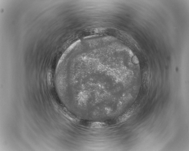 X0000057080222200510071853