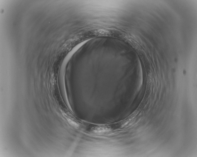 X0000057080223200510071853