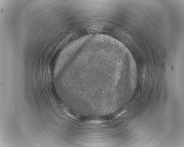 X0000057080224200510071853