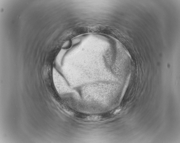 X0000057080225200510071853