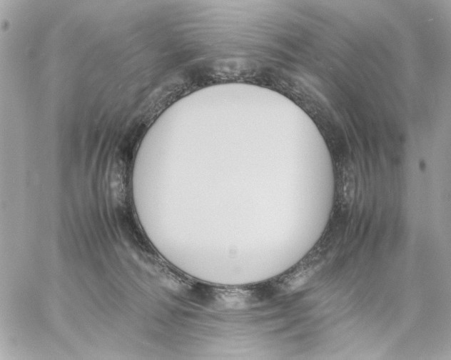 X0000057080226200510071853